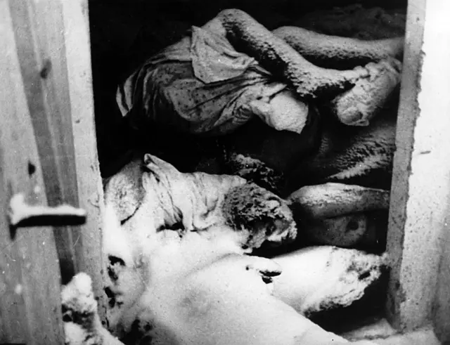 Prisioneiros mortos nas câmaras de gás de Auschwitz — fotografia de 1944