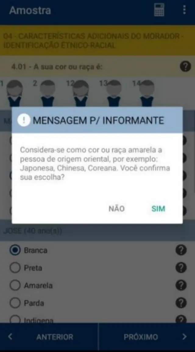 Captura de tela mostra mensagem lida às pessoas que declararam ser de cor ou raça amarela no Censo 2022