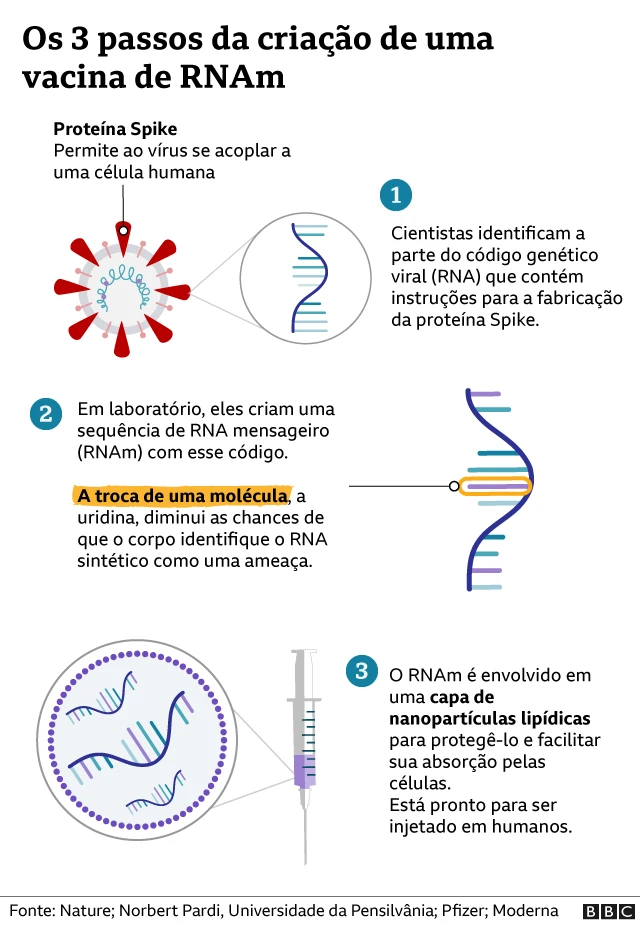 Gráfico mostra os três passos para criação de uma vacina de RNA mensageiro