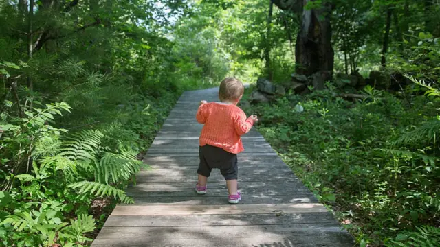 Foto colorida mostra bebê branco e loiro de costas andando em um caminho de madeira entre árvores em um dia ensolarado