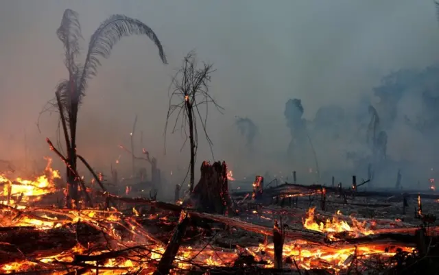 Incêndio na Amazônia