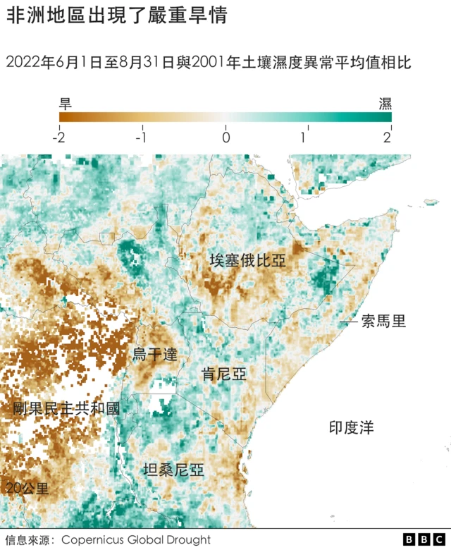 非洲乾旱情況