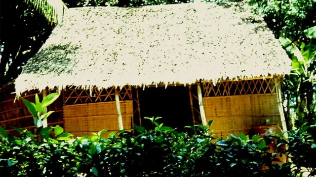 A cabana onde a mãe de Tuy morava