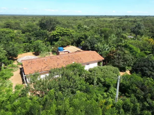 Casa cercada por agrofloresta