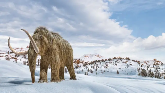 Ilustração de um mamute-lanoso caminhando na neve