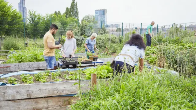 Pessoas em jardim urbano