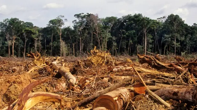 Desmatamento da Amazônia, em foto de 2007