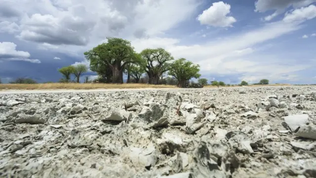 Makgadikgadi, em Botsuana, na África