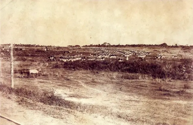 Foto antiga mostra o Exército brasileiro na Guerra do Paraguai