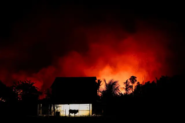 Foto noturna mostra uma casinha com um boi na frente. no fundo um clarão laranja de um incêndio