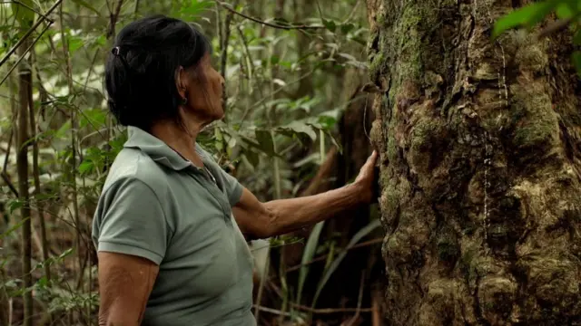 Isabel Castro em frente a uma seringueira que tem cicatrizes no tronco