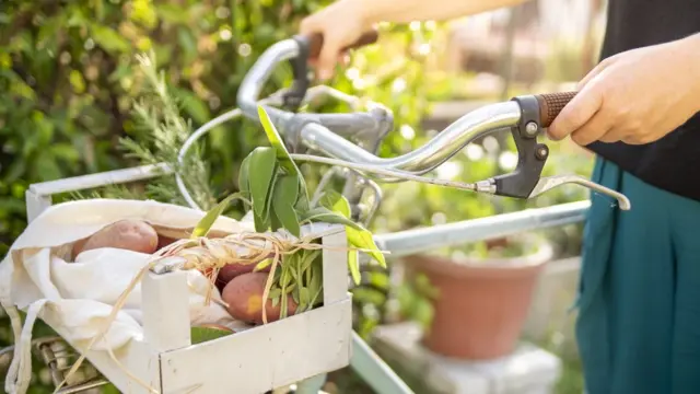 Mulher com legumes e bicicleta