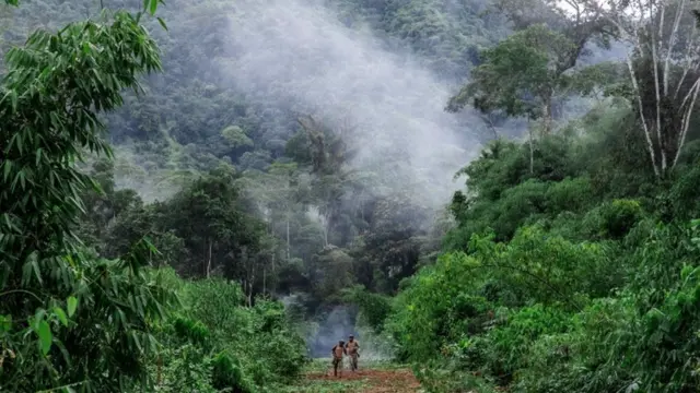 Policiais andando na floresta. É possível ver fumaça em meio às árvores