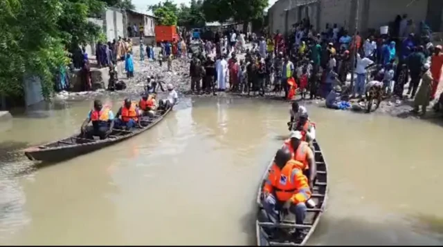 Jami'an hukumar ba da agaji ta Najeriya, Nema ke nan suke aikin kuɓutar da mutanen da ambaliyar ruwa ta rutsa da su a Maiduguri