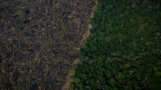 Vista aérea de área desmatada da Floresta Amazônica