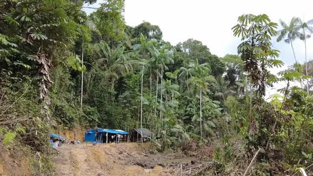 Barraca de lona precária onde garimpeiros trabalham no meio da mata na região de Itaituba