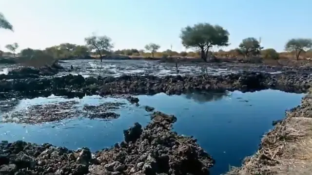 Poças com líquido escuro, rodeadas por terra escura, com um banco de terra mais clara de um lado e árvores ao fundo, tiradas em 2019 após o rompimento de um oleoduto 