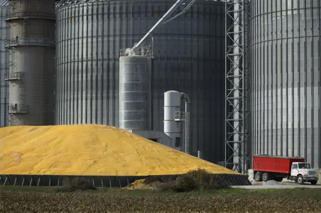 Elevador de grãos em silo