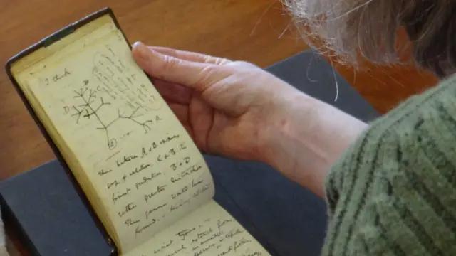 Jessica Gardner manuseando o bloco de Charles Darwin, aberto na página que mostra seu esboço da árvore da vida