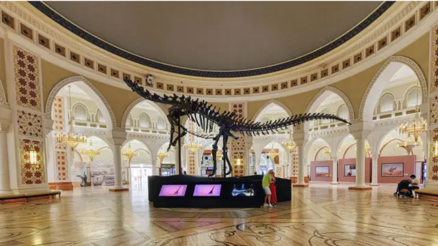 Fóssil de dinossauro em museu