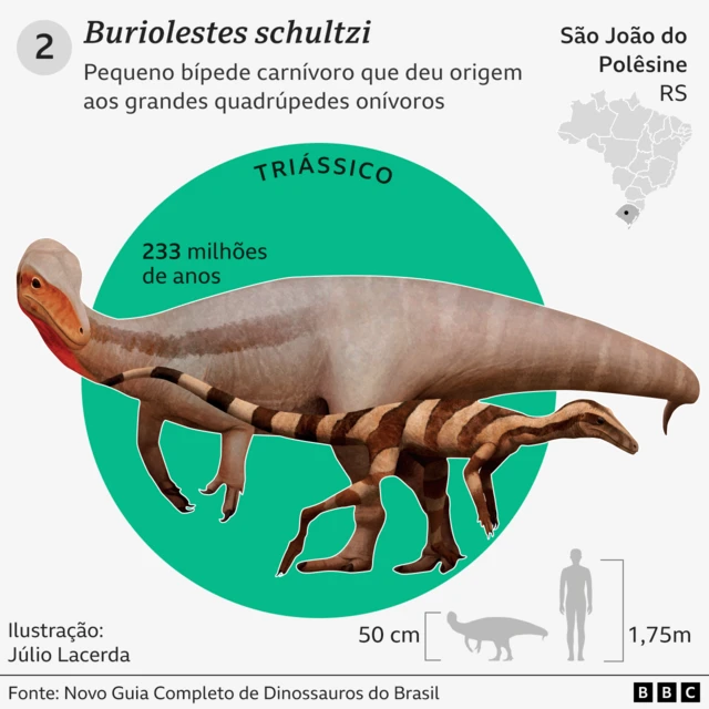 Gráfico com detalhes e curiosidades sobre o Buriolestes schultzi