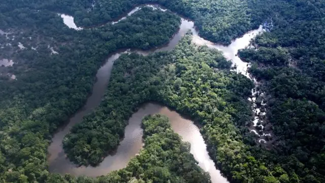 Foto aérea de um rio passando pela floresta 