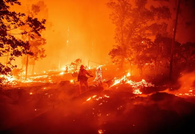 Um bombeiro parado no meio de algumas árvores, cercado por fogo