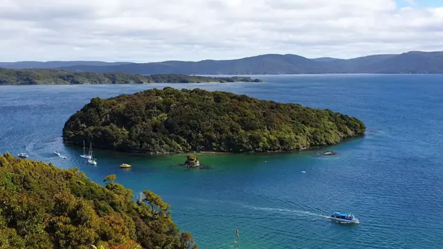 拉基烏拉附近的無掠食者島嶼受到陷阱和毒藥的保護，以免受有害物種再次入侵。