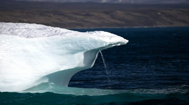 Iceberg