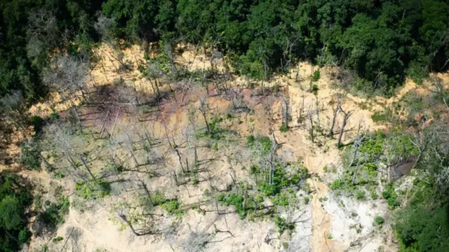 Área de garimpo na Amazônia