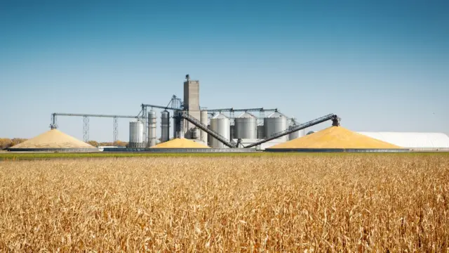 Silos de soja e plantação