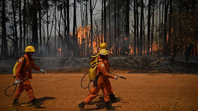 Homens que trabalham para conter incêndios florestais caminhando ao lado de mata pegando fogo