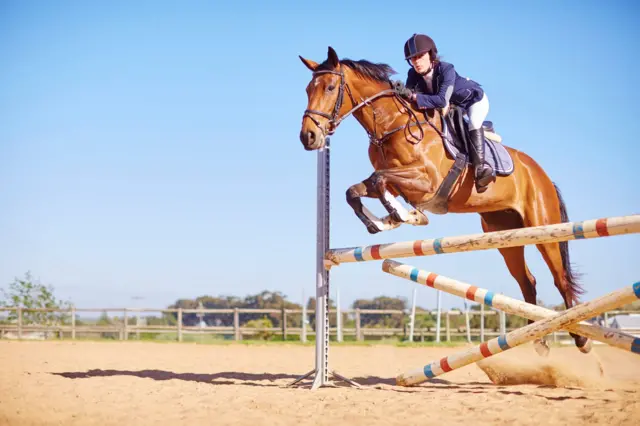 Cavalo saltando obstáculo