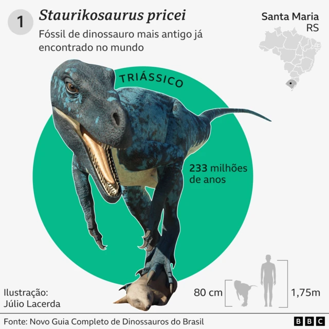 Gráfico com detalhes e curiosidades sobre o Staurikosaurus pricei