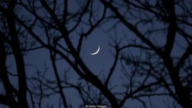 Lua nova no céu escuro entre sombra de galhos de árvores