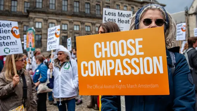 Manifestação animalista em Amsterdã