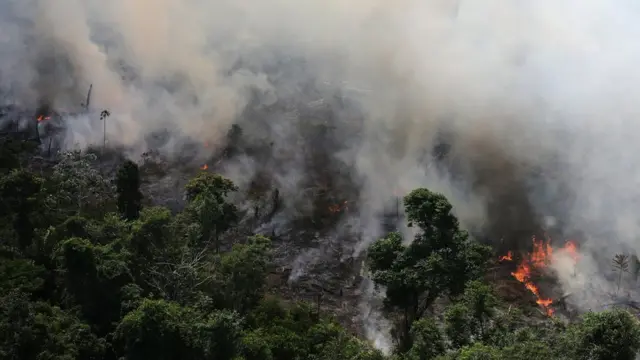 Queimada na Amazônia