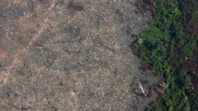 Desmatamento na Amazônia