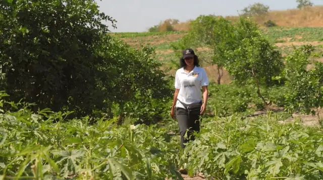 Khady marche dans son champ de 10 hectares. Elle fait une inspection de son une exploitation agricole comme chaque matin.