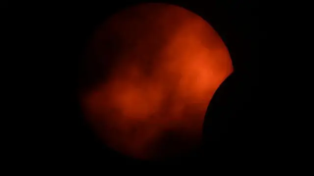 Árvores em frente a um sol parcialmente coberto por pedaço da lua