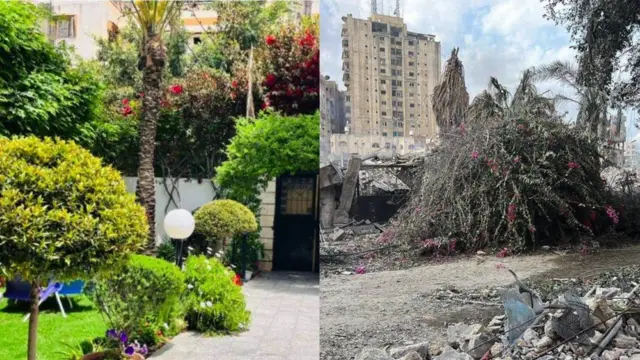 Dina Faisal enviou estas fotos do seu jardim no bairro de Rimal – anteriormente considerado um dos locais mais seguros de Gaza – antes e depois dos ataques aéreos israelenses