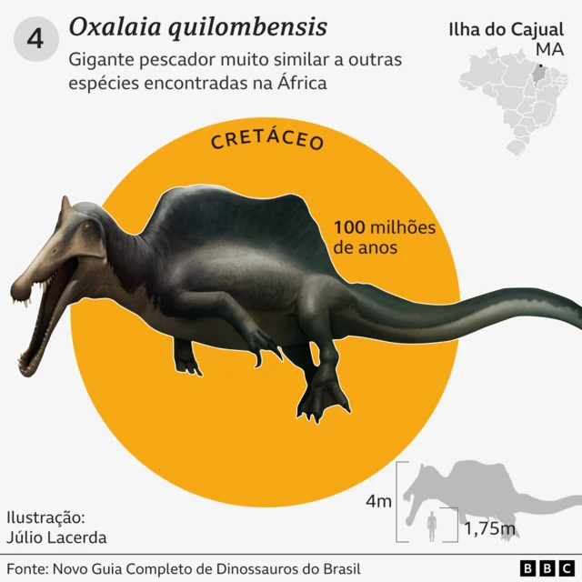 Gráfico com detalhes e curiosidades sobre o Oxalaia quilombensis