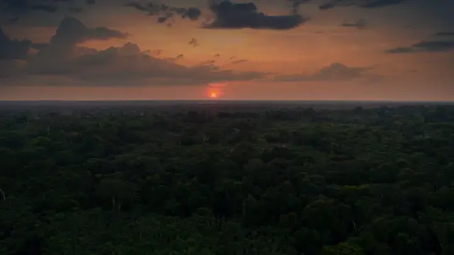 Vista aérea da selva onde as crianças estavam