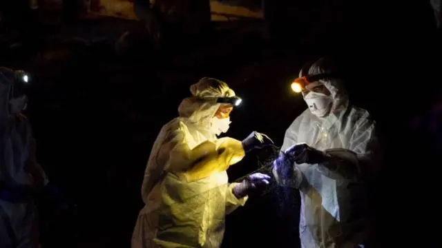 Cientistas durante trabalho em campo