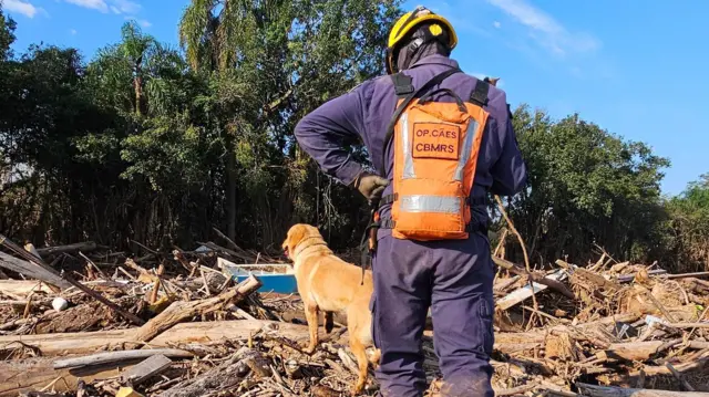 Bombeiro e cachorro sobre escombros