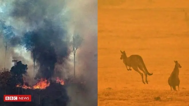 Incêndios têm causas completamente distintas, portanto, especialistas dizem que comparação não é cabível