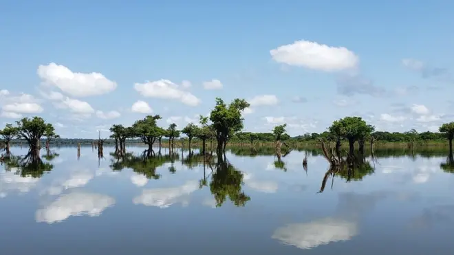 Aos poucos, o turismo ressurge na região amazônica do rio Uatumã, décadas após a construção de uma das hidrelétricas que mais prejudicaram o meio-ambiente no Brasil