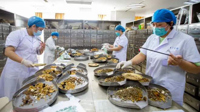 Trabajadores preparando medicina tradicional china.