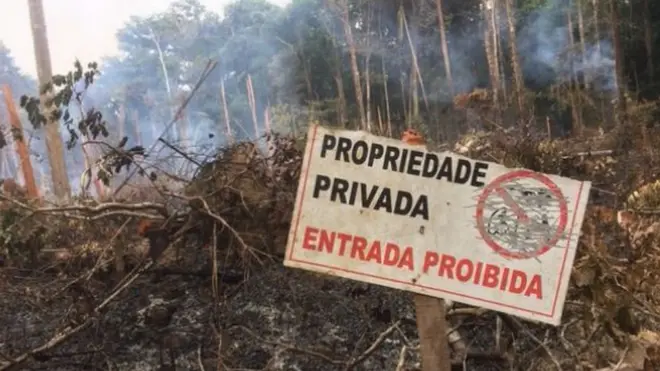 Invasores demaracarm lotes e já começaram a desmatar a região de 39 mil hectares