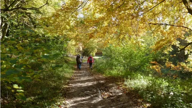 Pessoas caminhando durante o outono